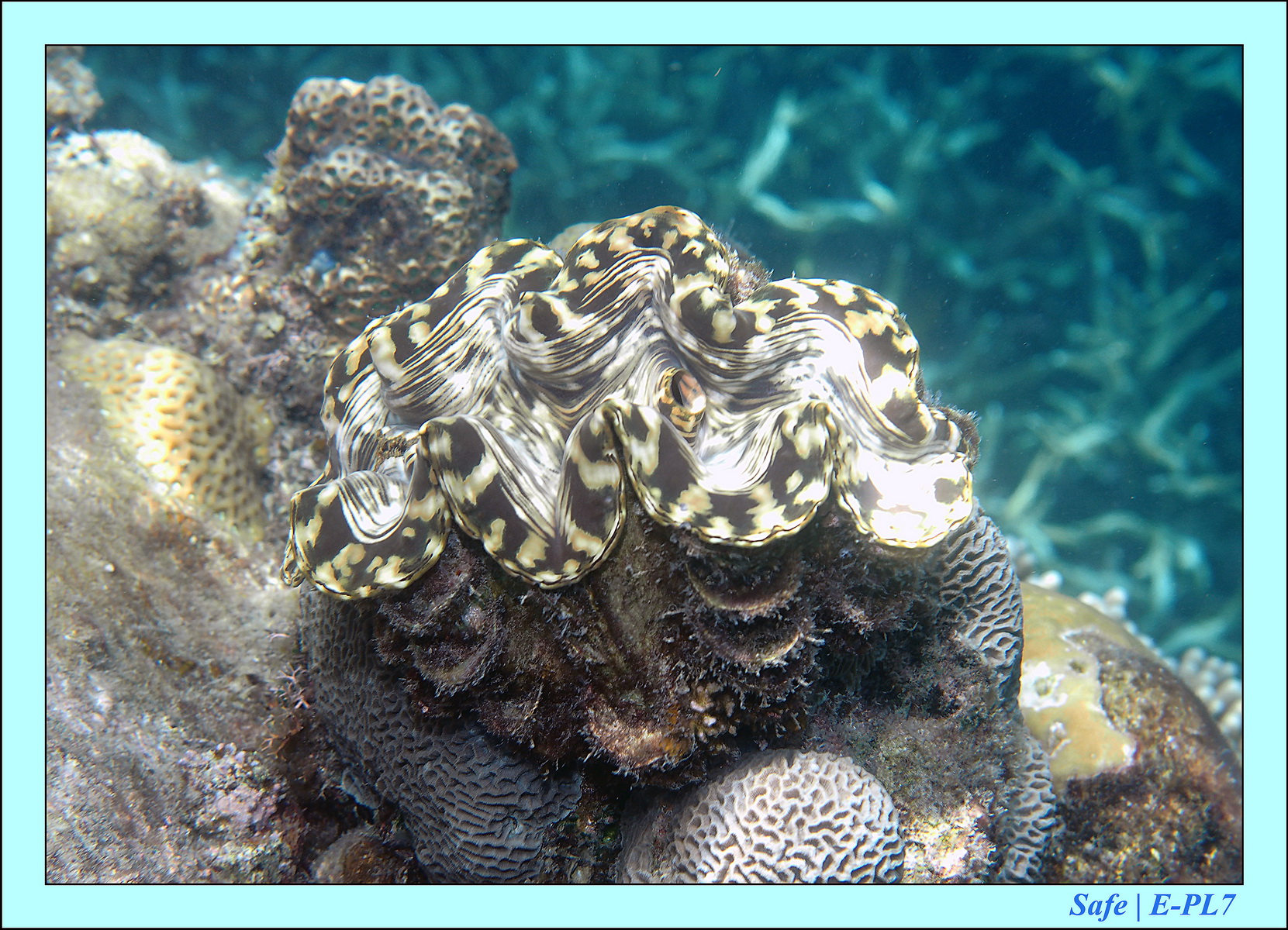 2015   07   Peranthian Islands 35